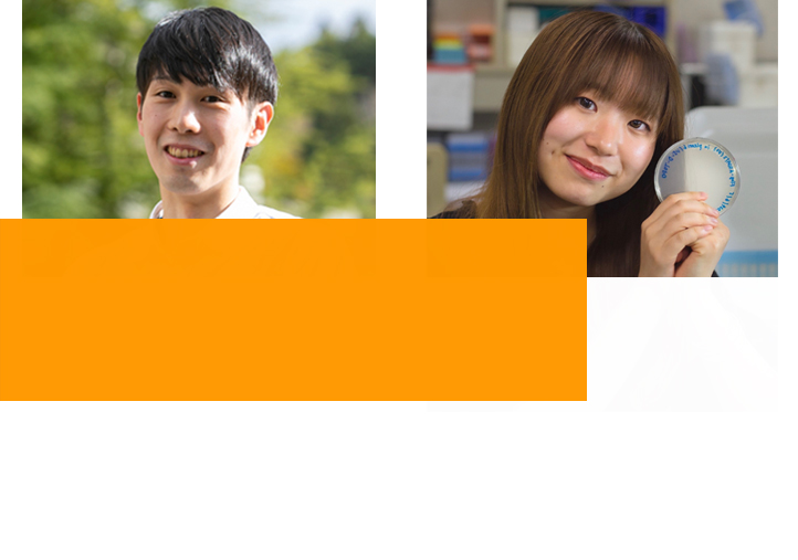 秋田_生命科学_生物_化学_国立大学