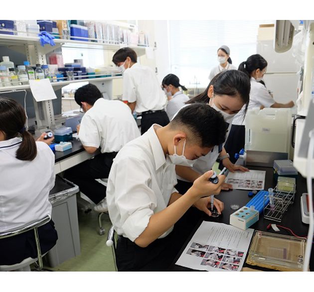 秋田_生命科学_生物_化学_国立大学