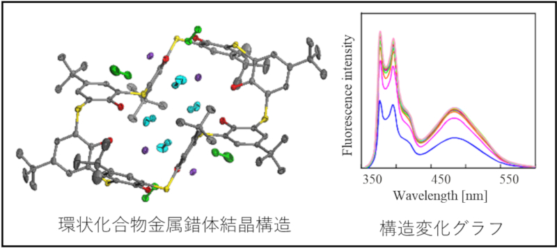 秋田_生命科学_生物_化学_国立大学