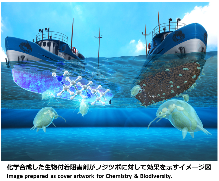 秋田_生命科学_生物_化学_国立大学